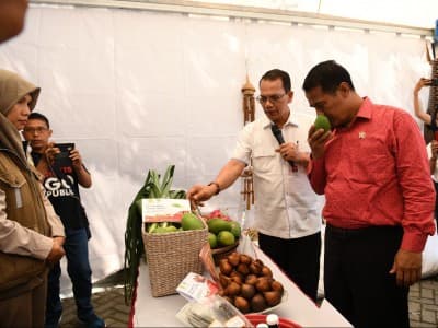 Kementan Bangun Relasi untuk Dorong Ekspor