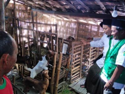 Pemberdayaan Warga dengan Program 'Kambing Bergulir'