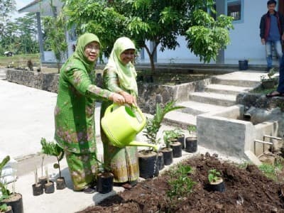 Muslimat NU Dorong Pengadaan Kebun Sehat di Pesantren-pesantren