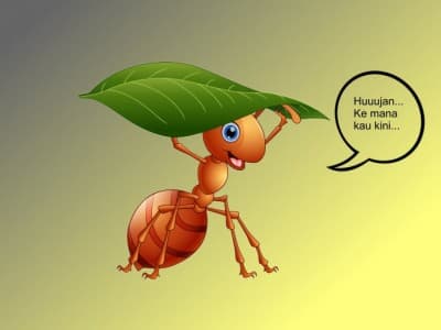 Kisah Nabi Sulaiman dan Semut yang Berdoa Minta Hujan