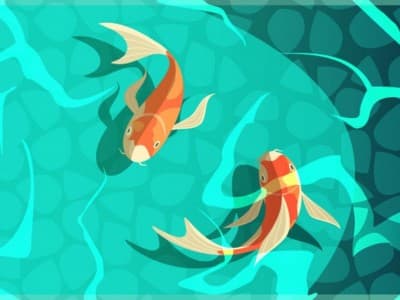 Kolam Berbau Bangkai Ikan, Apakah Airnya Suci?