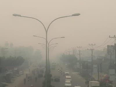 Pemerintah Didesak Cabut Izin dan Pidanakan Perusahaan Pembakar Hutan