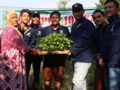 Manfaatkan Pekarangan Rumah, Tani Millenial dan Kaum Emak di Jombang Tanam Holtikultura