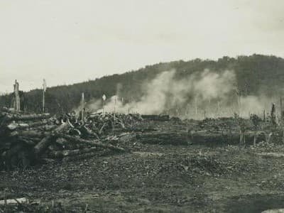 Penyebab Bencana Kabut Asap Selama Berabad-abad Silam