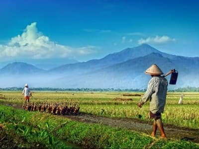 Hari Tani, Mengawal Program Infrastruktur dan Kebijakan Agraria