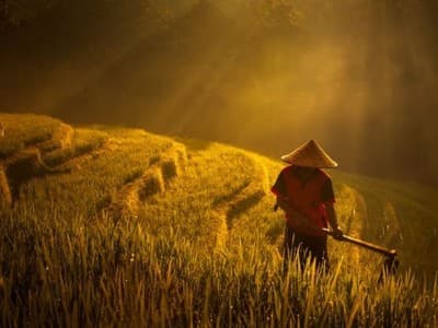 Menanti ‘Gebrakan’ Undang-Undang Sistem Budidaya Pertanian yang Baru