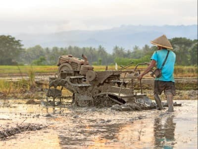 Petani, Tulang Punggung Negara