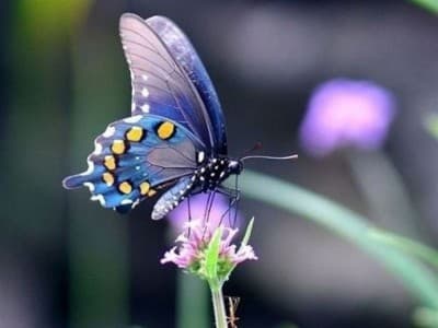 Awal Mula Keutamaan Sunnah Rasul Malam Jumat