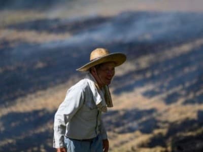 Cara Jepang Menarik Minat Pemuda untuk Bertani