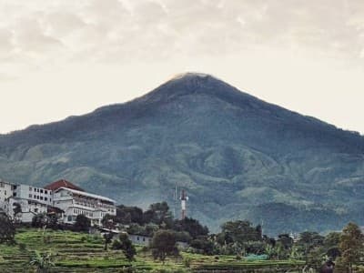 Jejaring Bisnis ala Pesantren Riyadlul Jannah Mojokerto