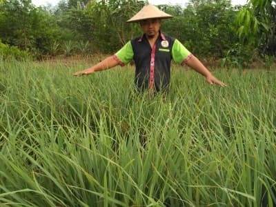 Kembangkan Pertanian Organik, Cak Fyan: Kebaikannya Kembali ke Kita