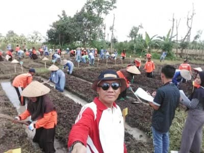 Jatuh Bangun, Minarno Sukses Produksi  Benih Bibit Hortikultura