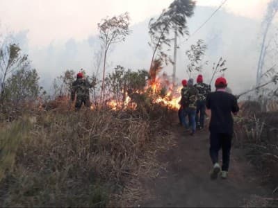 Cara Banser Padamkan Kebakaran di Kawah Ijen