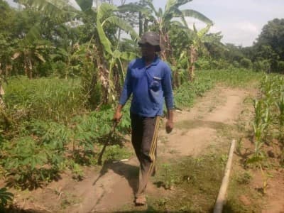 Berkat Bertani Sayur Mayur, Warga Pamarayan Kini Sejahtera