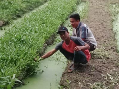 Jangan Anggap Sepele, Bertani Bisa Meningkatkan Kesejahteraan