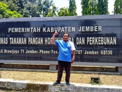 Pentolan IPNU Jember Manfaatkan Burung Hantu Basmi Tikus Sawah