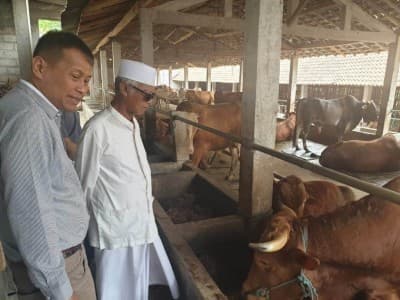 Inkopsim Fasilitasi Peternakan di Pesantren