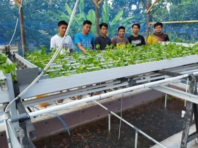 Santri Lintang Songo dan Mahasiswa UNU Yogyakarta Kembangkan Kolam Berteknologi Industri 4.0 