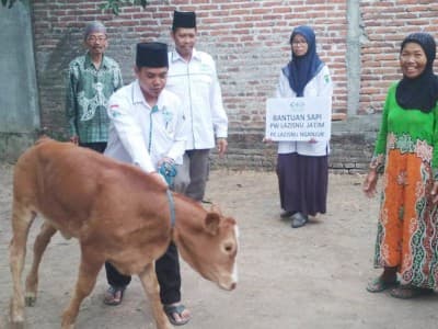 Berkah Maulid, Kader IPPNU Nganjuk Terima Beasiswa dan Bantuan Sapi