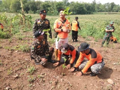 Menjaga Kelestarian Lingkungan dengan Penghijauan Alam