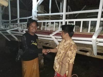 Tingkatkan Ekonomi Warga, NU di Bondowoso Kembangkan Ternak Domba
