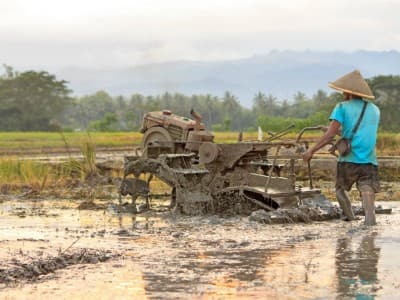 Akad Musaqah dan Kontur Tanah yang Perlu Diketahui Petani Penggarap