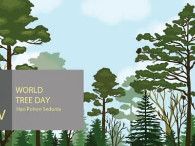 Hari Pohon Sedunia, LPBINU Kembali Ingatkan Kesadaran Menjaga Lingkungan