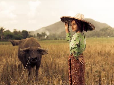 Syarat dan Rukun Akad Musaqah yang Perlu Diketahui Petani Penggarap