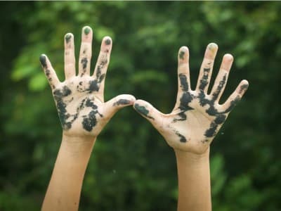 Ragam Pendapat Mazhab Fiqih Seputar Najis