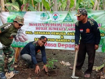 Peduli Lingkungan, Ansor di Sidoarjo Bagikan Ribuan Bibit Pohon 
