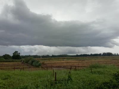 Wakil Rais NU Jateng: Hujan adalah Rahmat yang Luar Biasa