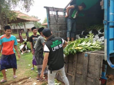 LPBINU Sampang Siapkan 8.500 Bibit untuk Pelestarian Lingkungan