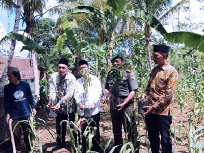 Lestarikan Lingkungan, LPBINU Malang Gelar ‘Adapsi Pohon’ 