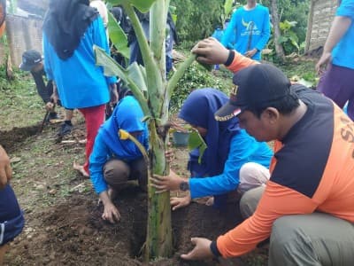 IPNU-IPPNU di Mojokerto Berdayakan Ekonomi dengan Pohon Pisang