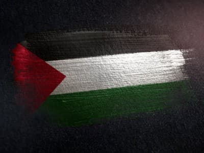 Respons Rencana Timur Tengah Trump, OKI Gelar Pertemuan Darurat