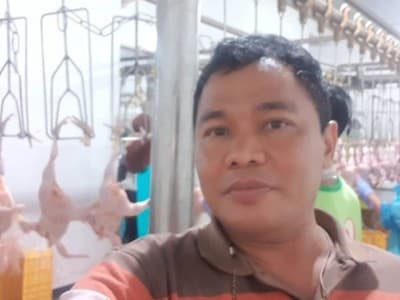 Inkopsim: Peternak dan Konsumen Ayam Jangan Dirugikan 