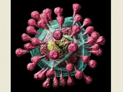 Soal Virus Corona, Pemerintah Diminta Aktif Sosialisasi kepada Masyarakat