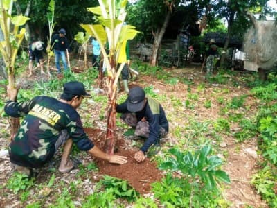 Ansor di Gresik Ajak Warga Gelorakan Tanam Seribu Pohon Pisang