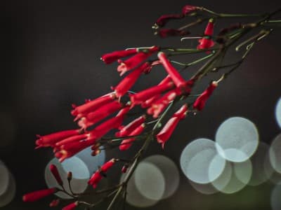 Dokter NU: Perempuan Tidak Mungkin Hamil Renang di Kolam yang Sama dengan Pria