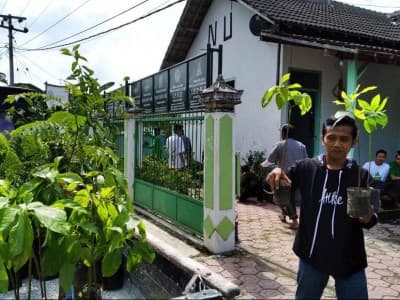 Peringati Harlah NU, Ansor Senori Tuban Pilih Tanam 1000 Pohon