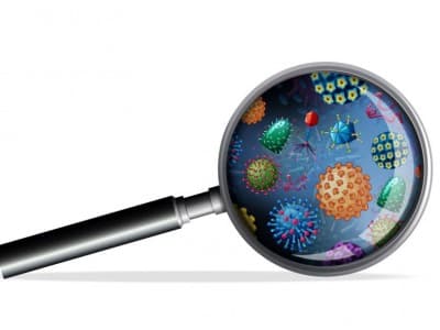 Antara Corona, Ulama, dan Sains