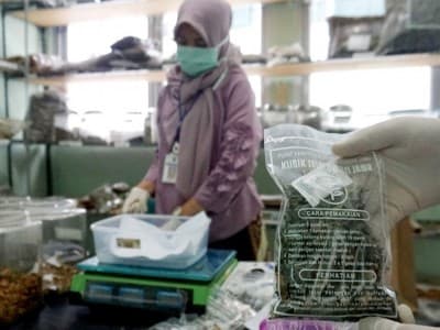 Tingkatkan Imunitas Tubuh, Dokter Sarankan Konsumsi Jamu