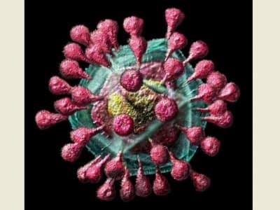 Hindari Penyebaran  Masif Virus Corona, Pemerintah Harus Tutup Bandara