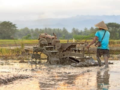 Covid-19, GP Ansor Desak Pemerintah Beri Insentif Petani