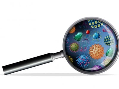 Ini Dalil Syariat LBM PBNU dalam Penundaan Shalat Jumat