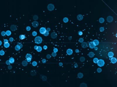 Kisah tentang Wabah yang Merenggut 50 Ribu Orang