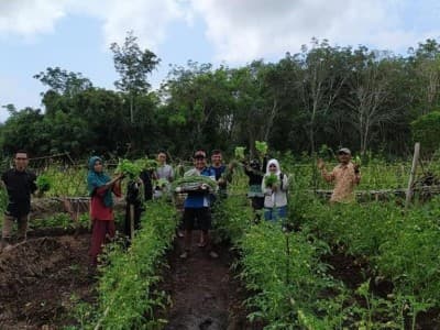 BRG Dorong Desa Tingkatkan Produk Komoditi Pertanian