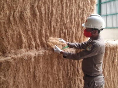 'Lockdown' di Cina Berakhir, Jangkos asal Sumut Kembali Berlayar