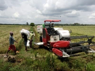 Di Tengah Pandemi Covid-19, Produksi Padi Petani Banyuasin Berlimpah