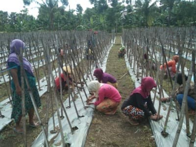 GP Ansor Dorong Pemerintah Desa Berdayakan Sektor Pertanian
